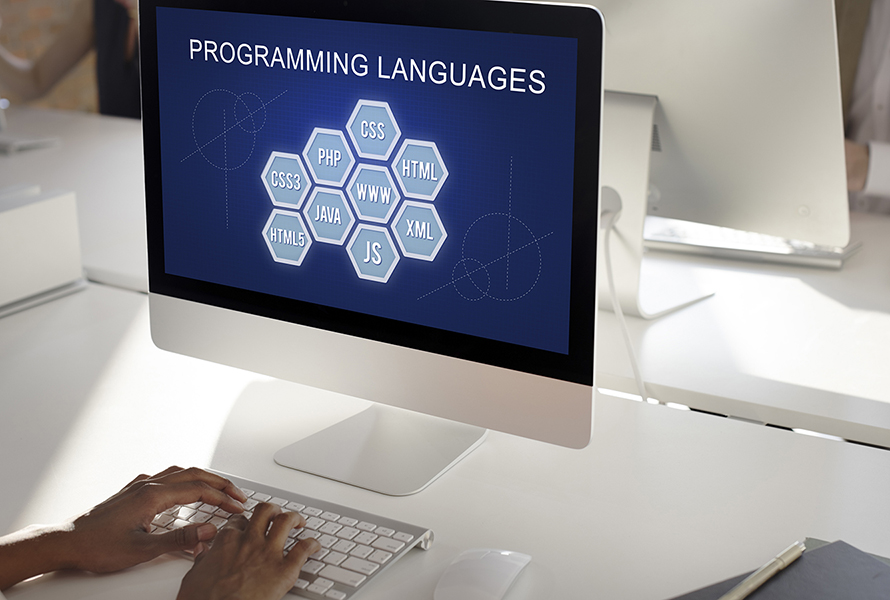 WordPress programming languages