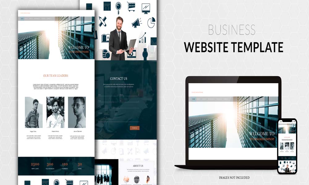 WordPress Themes