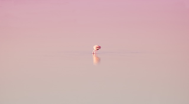 minimalism